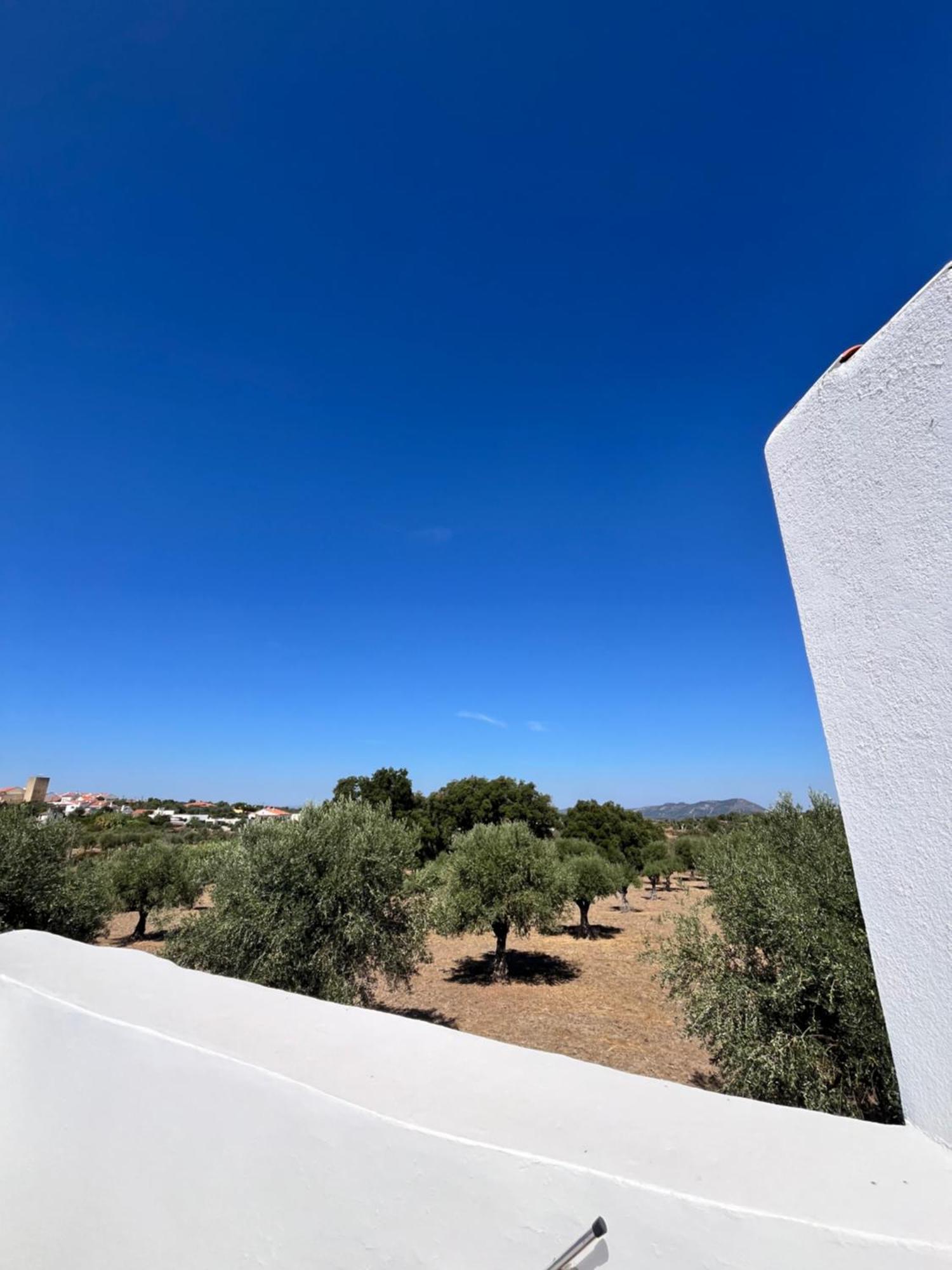 Casa Alentejana - Casa Olival Holiday home *
